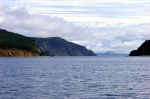 Водолазы обнаружили тело моряка на затонувшем сухогрузе "Амурское"