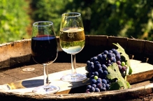 Поставки в Россию грузинских вин разрешены первым двум винодельческим предприятиям