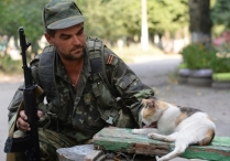 Украинские силовики заявили о 14 случаях нарушения перемирия