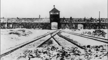 Парламентарии: освобождение Освенцима было победой всех народов СССР