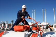Турецкая Botas получила скидку от «Газпрома»
