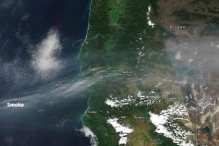 Дым от сибирских пожаров достиг западного побережья США