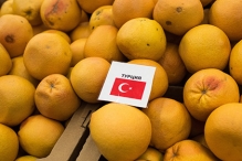 Сирия запланировала заместить турецкие цитрусовые в России