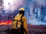 Все лесные пожары в Сибири потушены